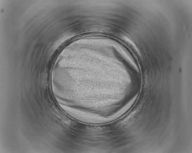 X0000088361019200706121050