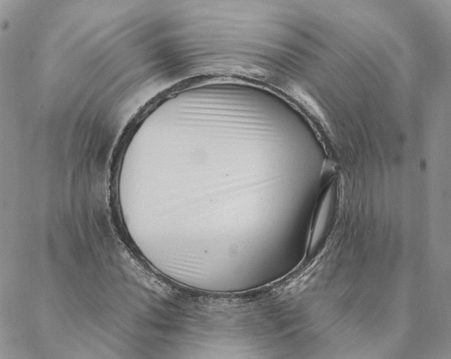 X0000088361020200706121050