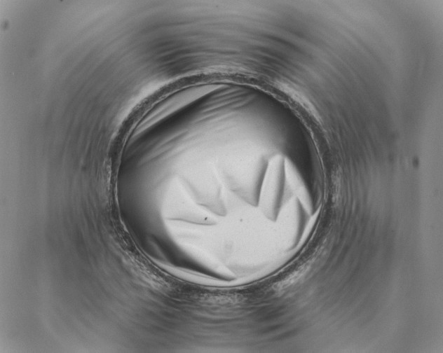 X0000088361021200706121050