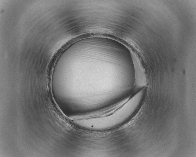 X0000088361022200706121050