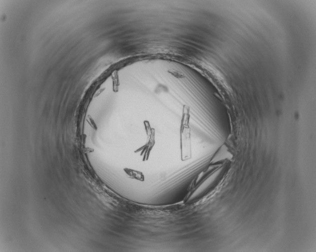 X0000088361023200706121050