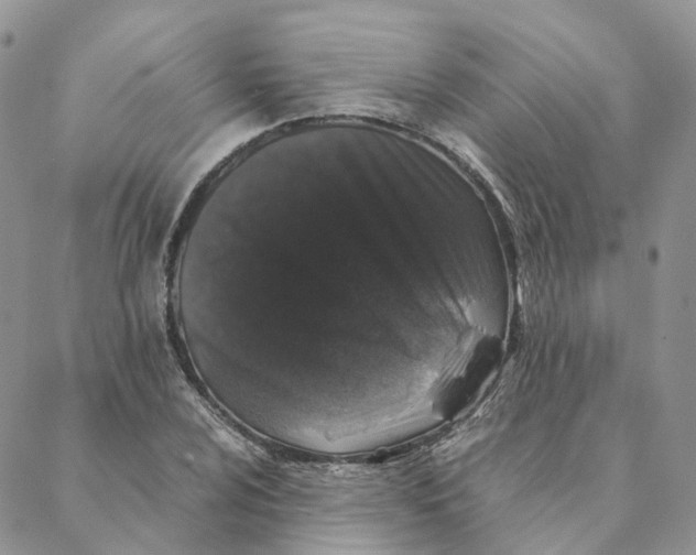 X0000088361024200706121050