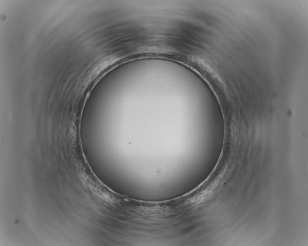 X0000088361025200706121050