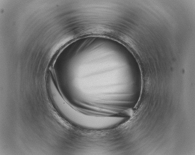 X0000088361026200706121050