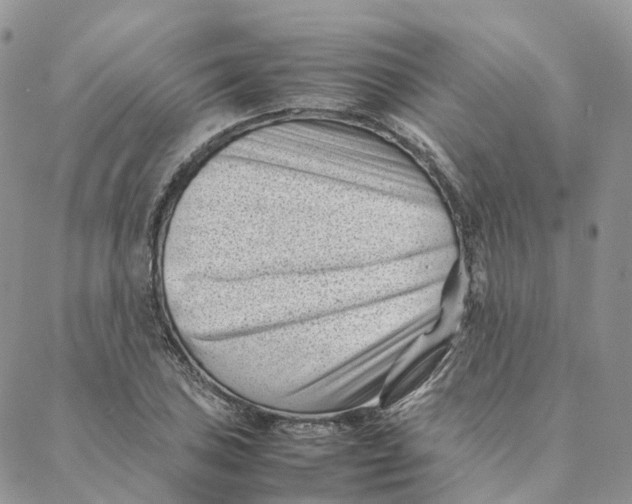 X0000088361027200706121050