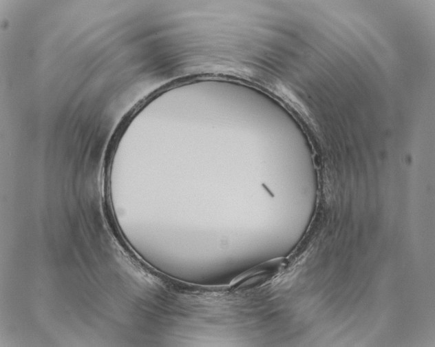 X0000088361028200706121050