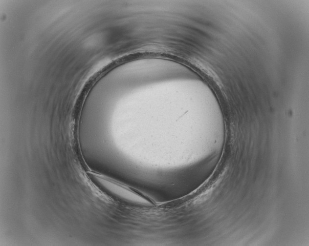 X0000088361029200706121050