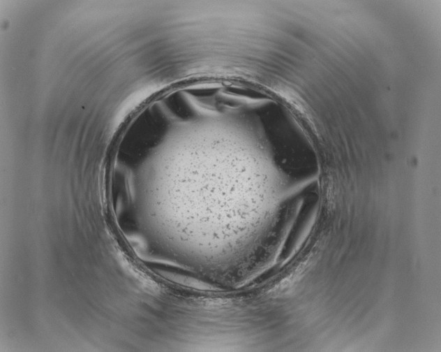 X0000088361030200706121050