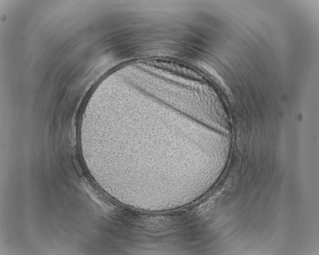 X0000088361031200706121050