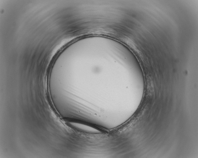 X0000088361032200706121050