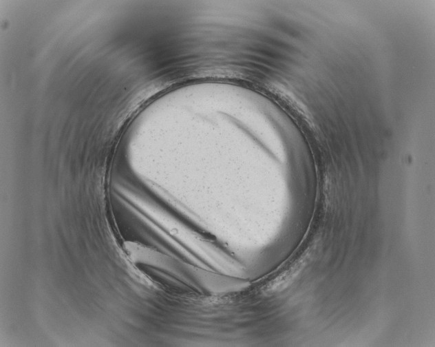 X0000088361033200706121050