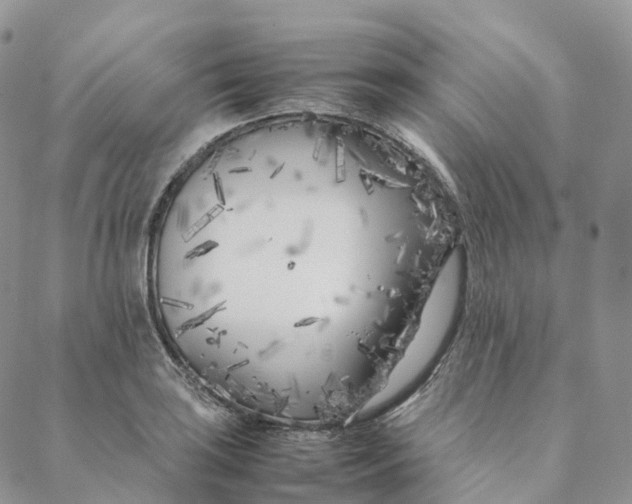 X0000088361035200706121050