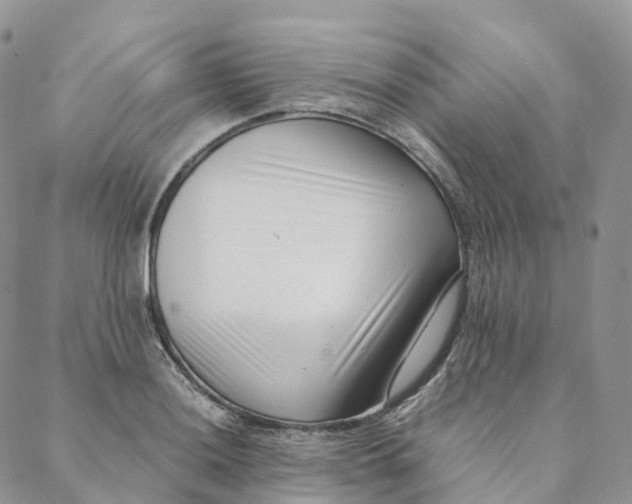 X0000088361036200706121050