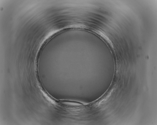 X0000088361037200706121050