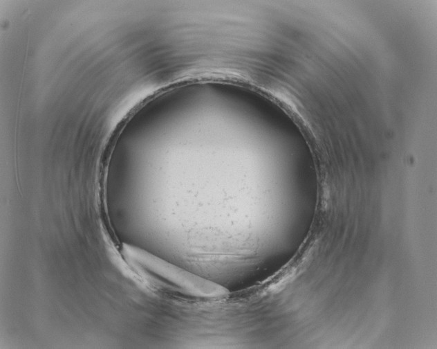 X0000088361038200706121050