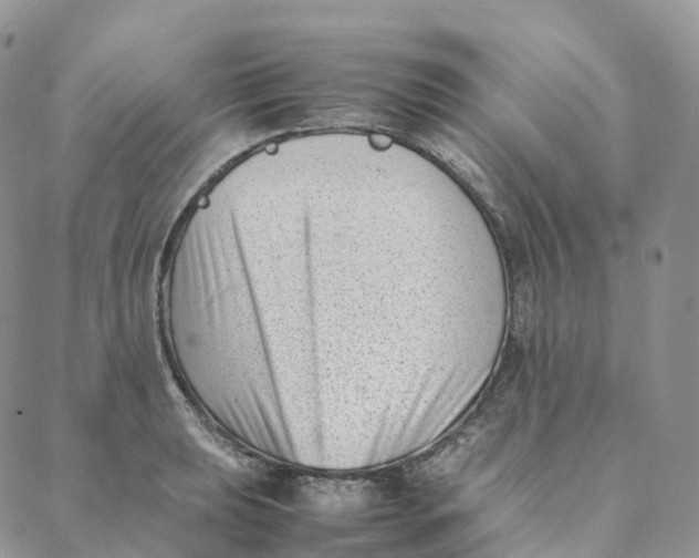 X0000088361039200706121050