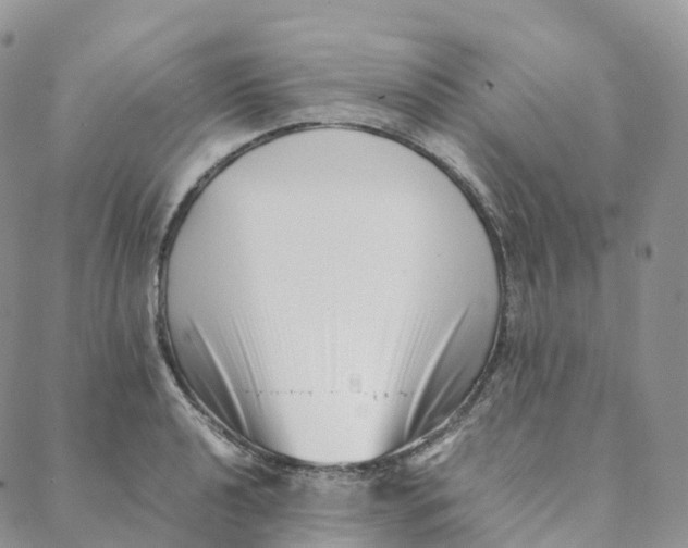 X0000088361040200706121050