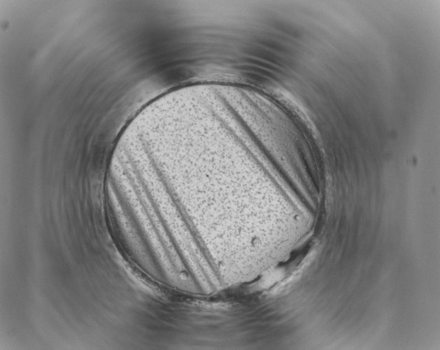 X0000088361041200706121050