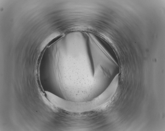 X0000088361042200706121050