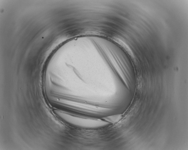 X0000088361043200706121050