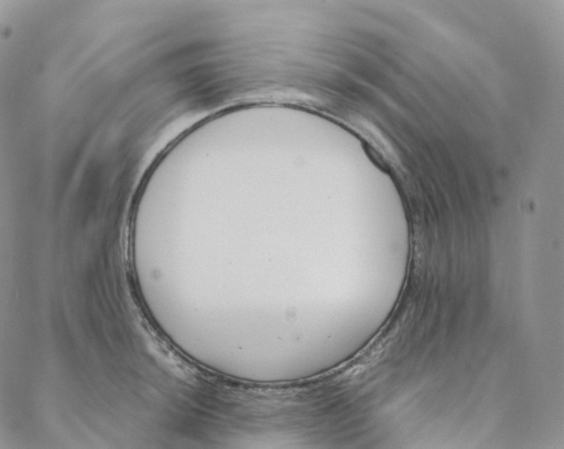 X0000088361044200706121050