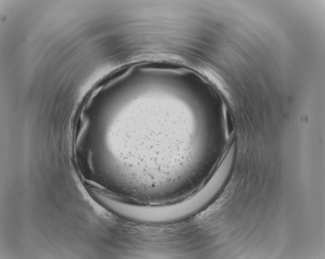 X0000088361046200706121050