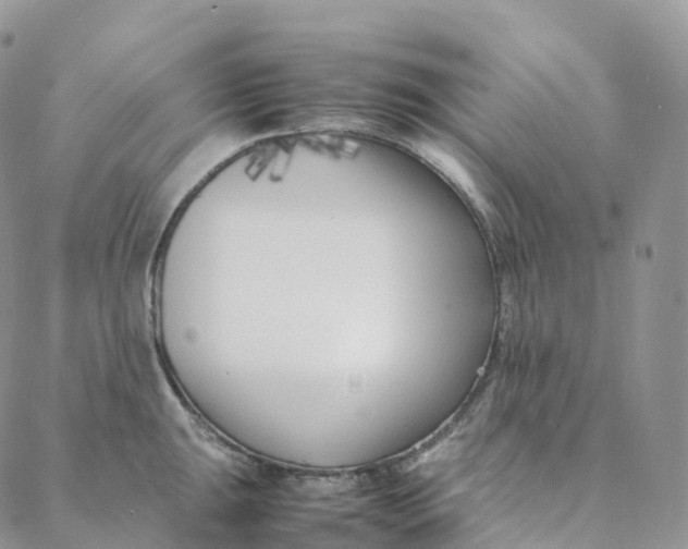 X0000088361047200706121050