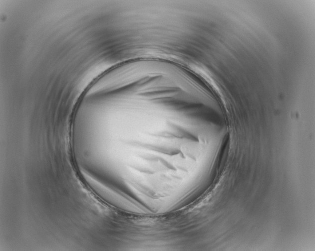 X0000088361048200706121050