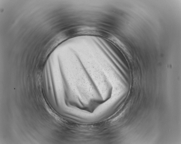 X0000088361049200706121050