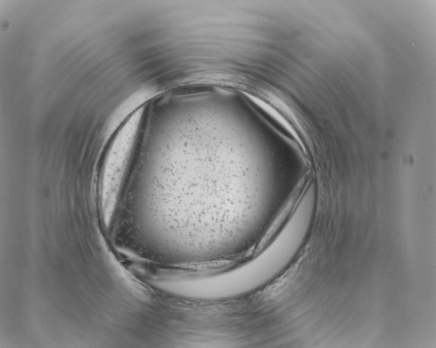 X0000088361050200706121050