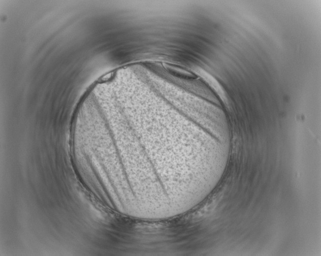 X0000088361051200706121050