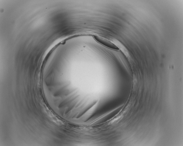 X0000088361052200706121050