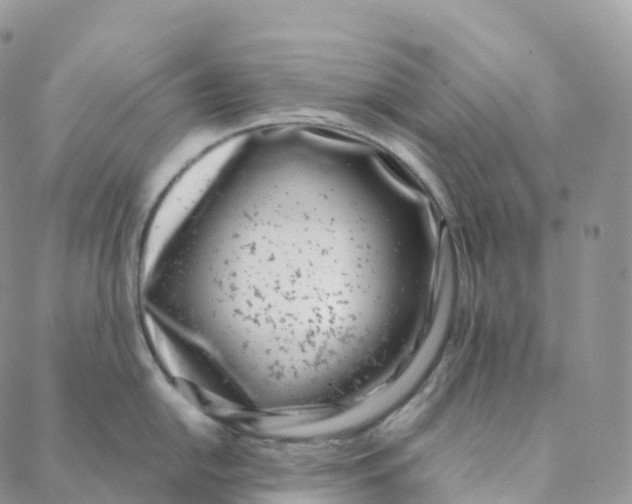 X0000088361054200706121050