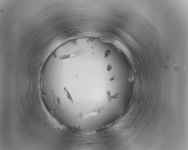 X0000088361055200706121050