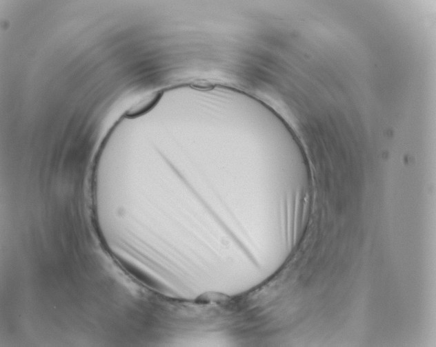 X0000088361056200706121050