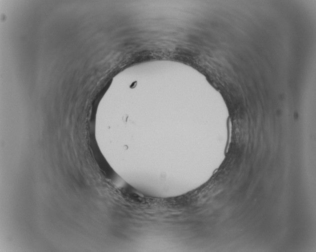 X0000088361057200706121049