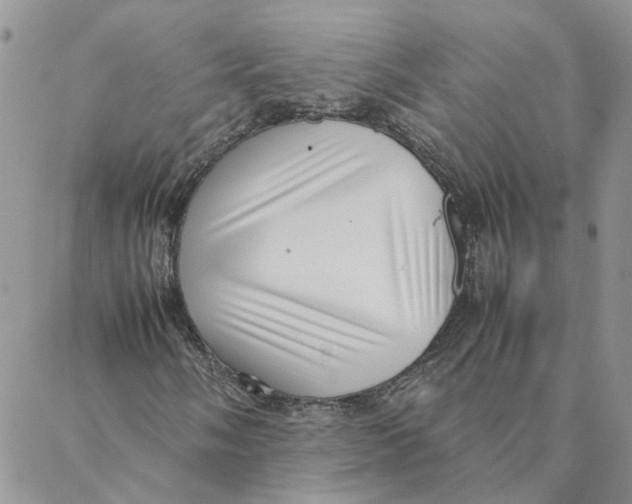 X0000088361058200706121049