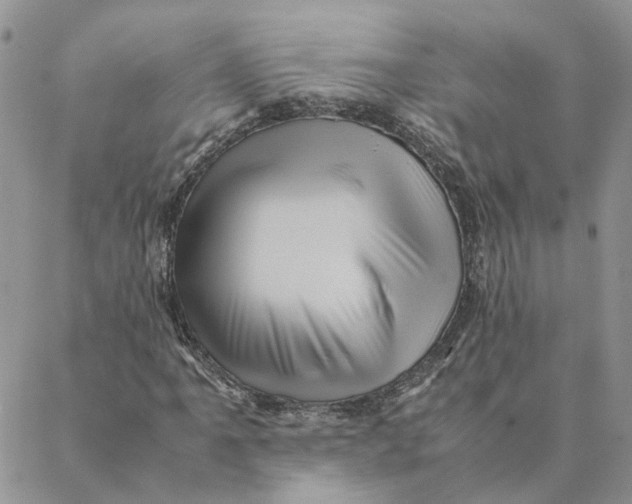 X0000088361061200706121049