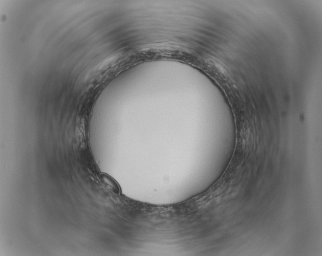 X0000088361062200706121049