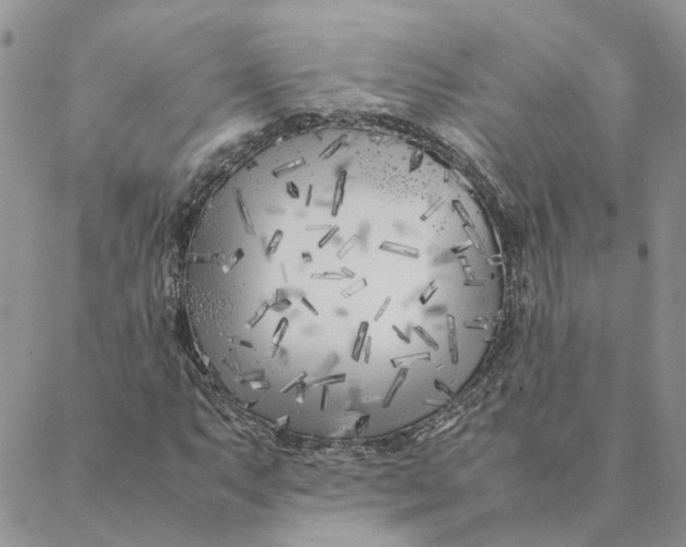 X0000088361063200706121049