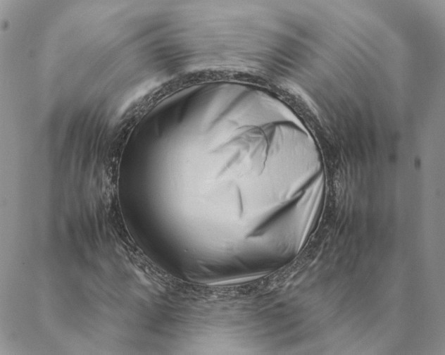 X0000088361064200706121049