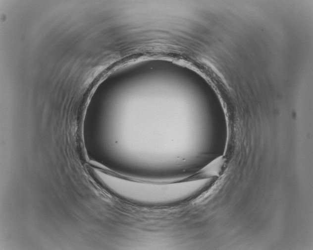 X0000088361065200706121049