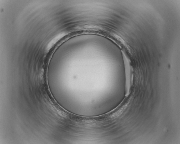 X0000088361066200706121049