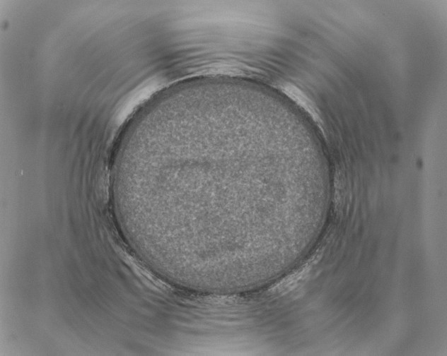 X0000088361067200706121049