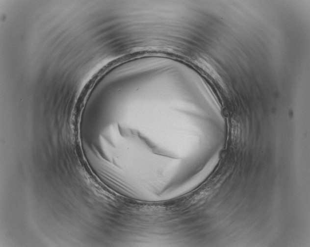 X0000088361068200706121049