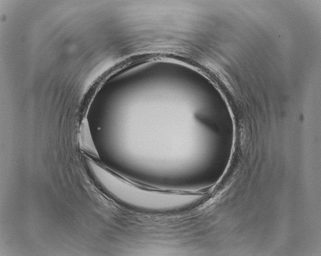 X0000088361069200706121049