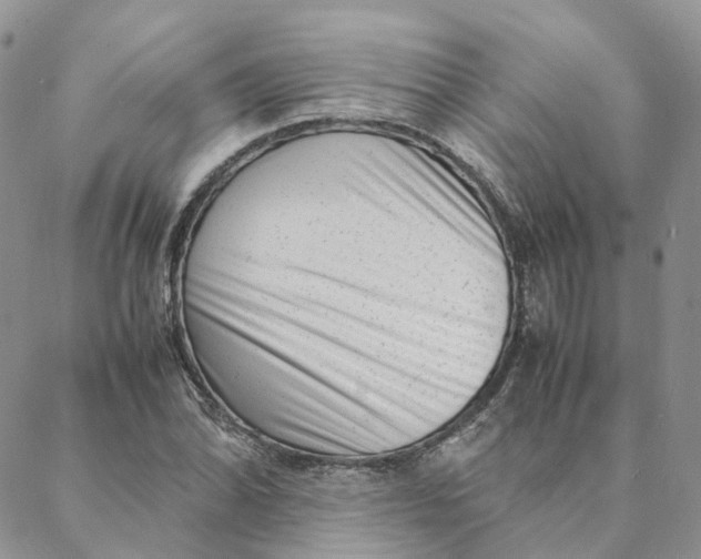 X0000088361070200706121049