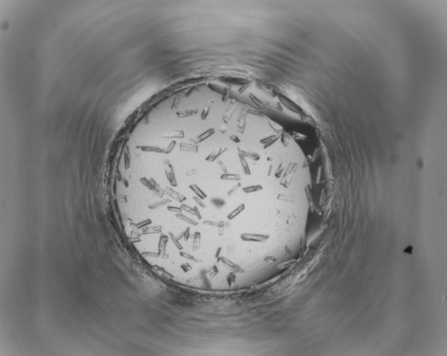 X0000088361071200706121049