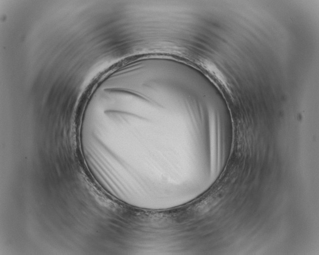 X0000088361072200706121049