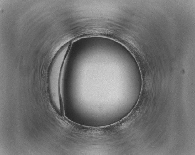 X0000088361073200706121049